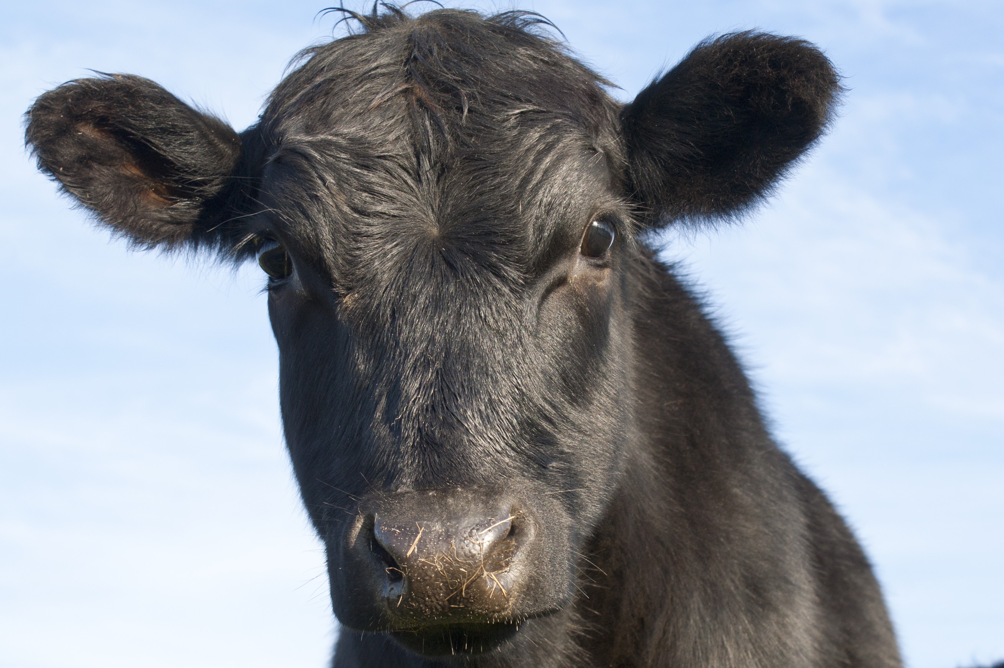 shutterstock_edit 289521050 shutterstock_edit 289521050